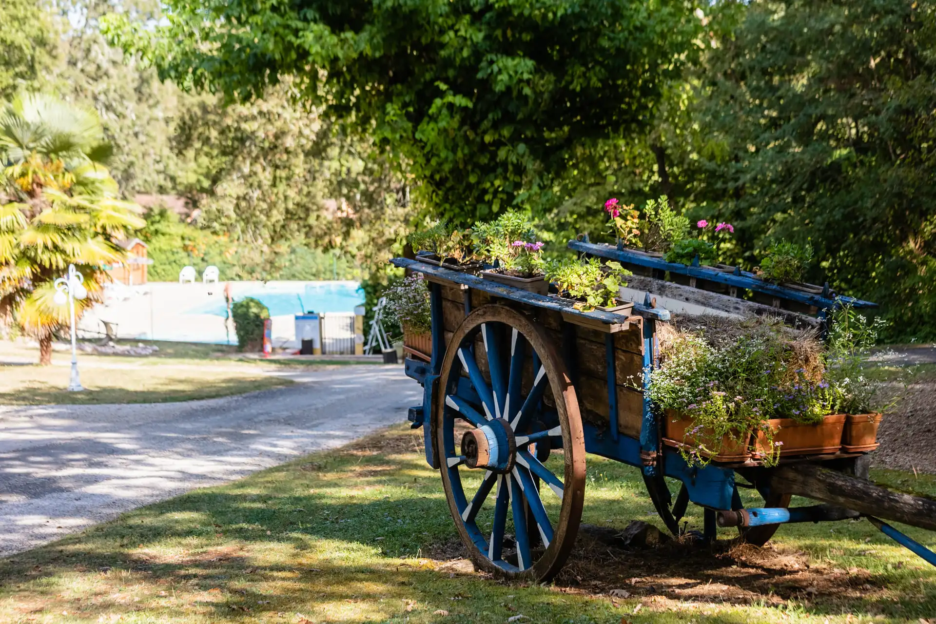 avis client camping au bois dormant